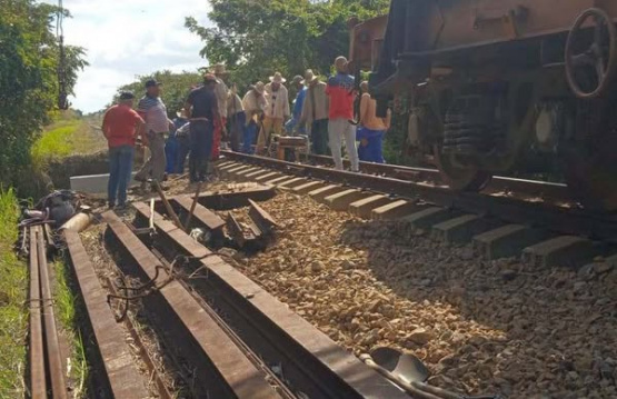 El Ferrocarril del Norte Renace